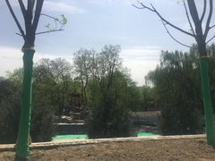 -莲湖公园