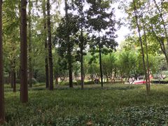 -徐家汇源景区-衡山公园