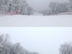 -中旅松花湖滑雪场