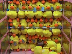 -蟹肉煲蟹肉(阊胥路店)