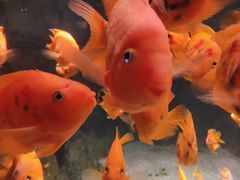 -常州海昌海洋探索馆