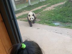 -西安秦岭野生动物园