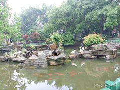 -东湖落雁景区