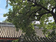 -承恩寺