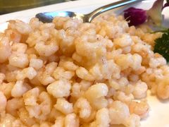 清炒虾仁-新聚丰菜馆(太监弄店)