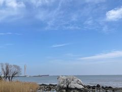 -上海吴淞炮台湾国家湿地公园