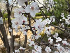 -中关村生命科学园