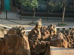 -昆明动物园