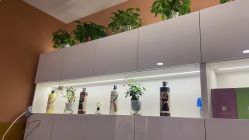 -希梵尔头皮抗衰·科技养发