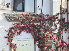 -黎阳老街