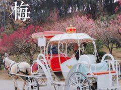 -无锡梅园公园