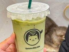 -楼上猫咖(罗湖店)