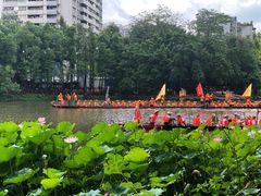 -荔湾湖公园