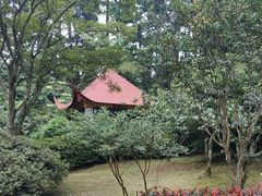 -庐山风景区花径公园