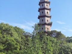 -江心屿景区