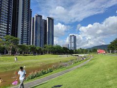 -光明小镇欢乐田园