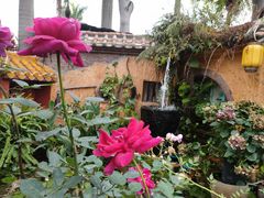 -园林美食城·本土农家菜(杨和镇店)