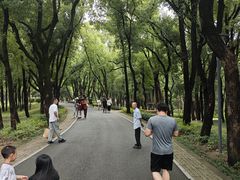 -东湖落雁景区