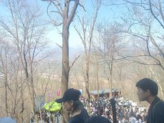 -帽儿山风景区