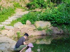 -素山寺森林公园