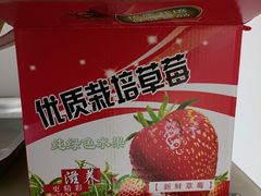 -小鱼草莓采摘园农家乐·小鱼餐厅