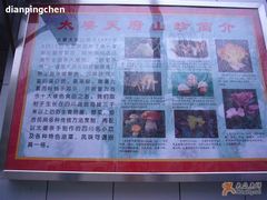 标牌儿简介-太婆天府山珍酒楼(亚运村店)