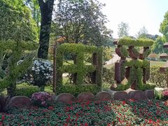 -铁山坪森林公园