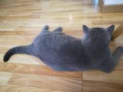 -壹人壹像工作室(购物公园店)