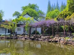 -上海醉白池公园