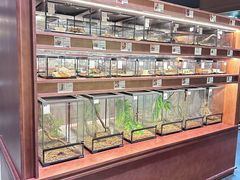 -帕帕拉兹宠物(亚洲旗舰店)