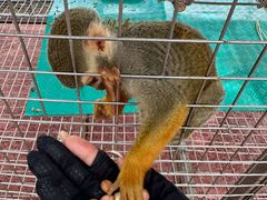 -水上乐园·欢乐世界