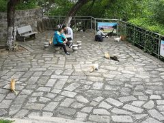 -鸿山公园