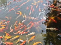 -番禺宾馆丽苑厅