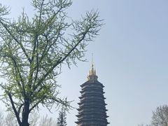-红梅公园