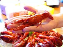 -红盔甲·小龙虾(天钥桥店)