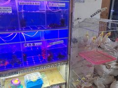 -山东柏宁水族批发广场