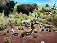 -陕西自然博物馆