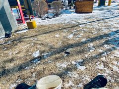 -中旅松花湖滑雪场