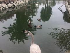 -泉州海丝野生动物世界