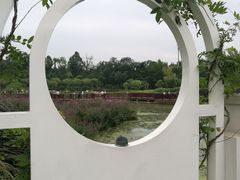 -天府芙蓉园