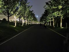 -南京眼步行桥