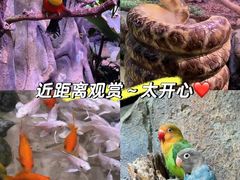 -正佳雨林生态植物园