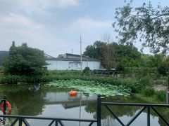 -元鼎宝驴香·全驴宴(江宁店)