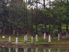 -白塘生态植物园