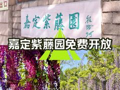 -嘉定紫藤园