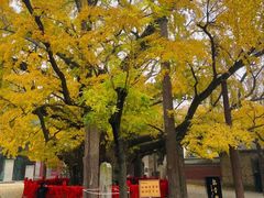 -浮来山风景区