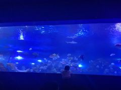 -重庆欢乐海底世界