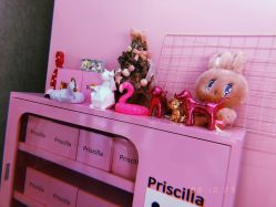 -Priscilla皮肤管理中心