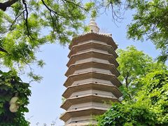 -国家图书馆·古籍馆