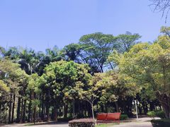 -滴水岩森林公园